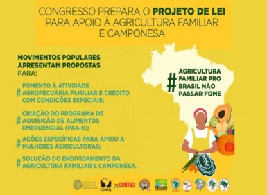 Câmara prepara PL para apoio a agricultura familiar na pandemia