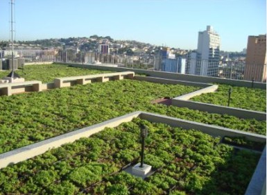 Comissão de Constituição, Legislação e Justiça Aprova PL sobre Telhados Verdes