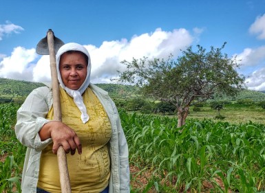 Mandato do deputado Doriel Barros articula intercâmbio com a Província de Buenos Aires sobre agricultura familiar