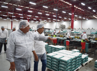 Audiência Pública pauta os desafios da cadeia produtiva da avicultura no estado