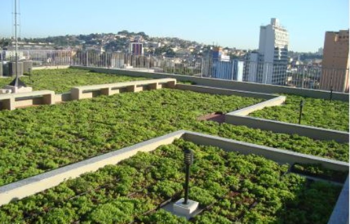 Comissão de Constituição, Legislação e Justiça Aprova PL sobre Telhados Verdes